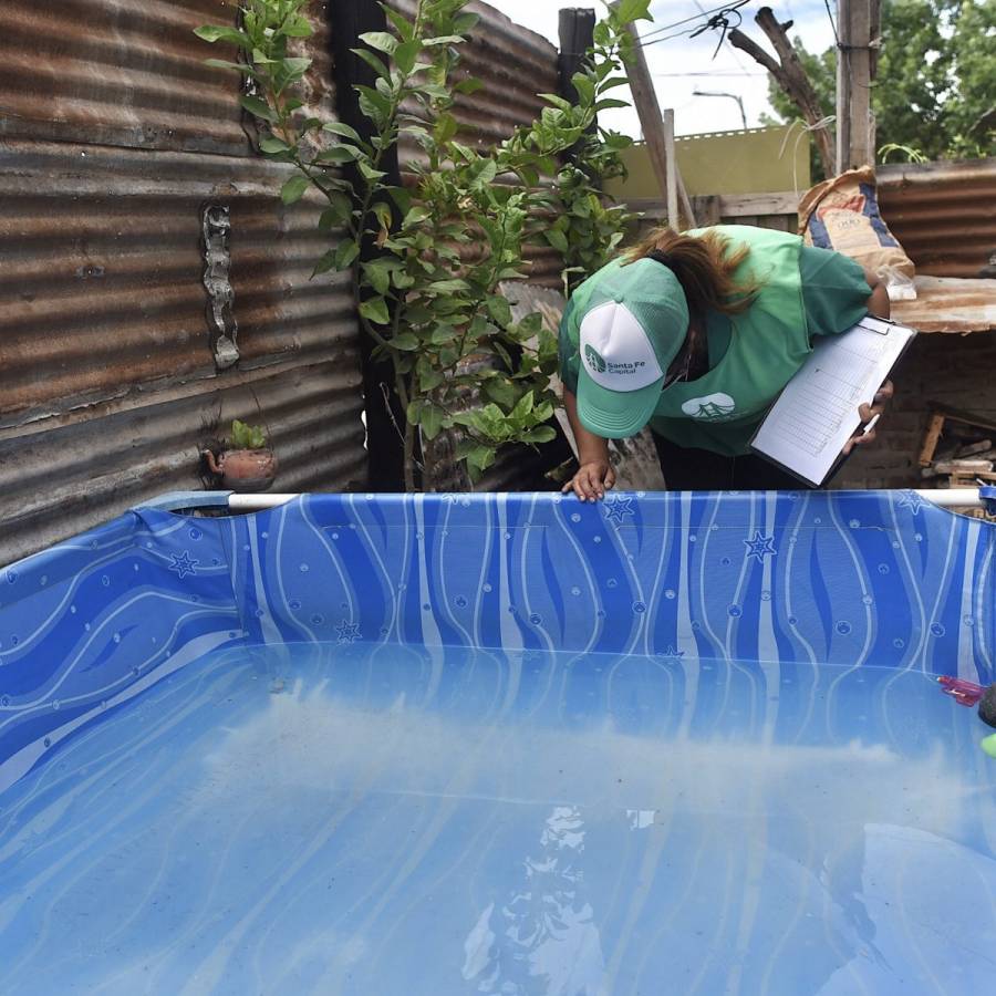 Se detectó la presencia del vector Aedes aegypti en dos barrios 