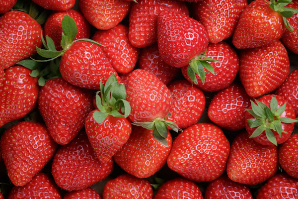 Tips para conservar las frutillas frescas por más tiempo
