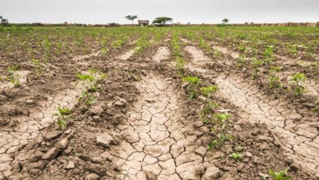 Provincia declaró la emergencia por desastre agropecuario 