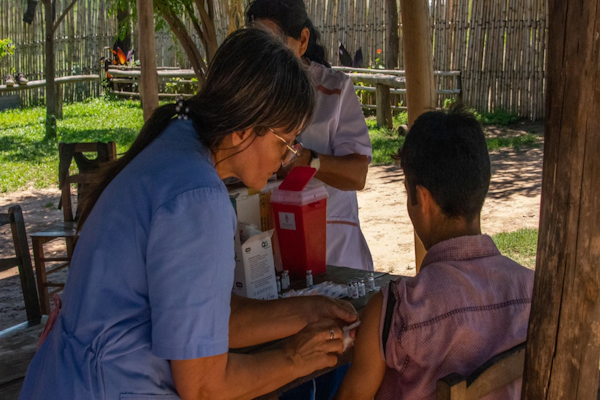 Objetivo Dengue: vacunar en la isla, casa por casa
