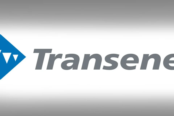 Privatizaciones en energía: buscan vender Transener