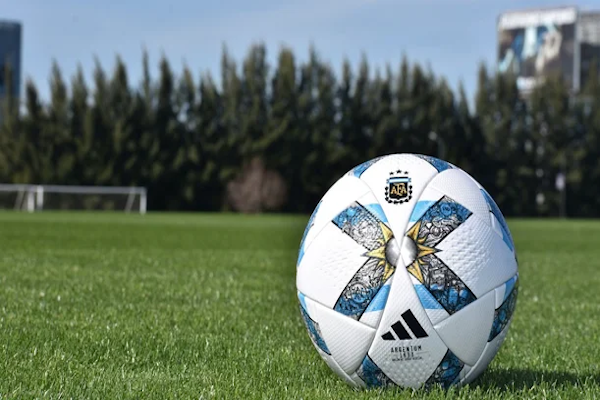 Liga Profesional Promocional Amateur 2024: los ascensos y descensos