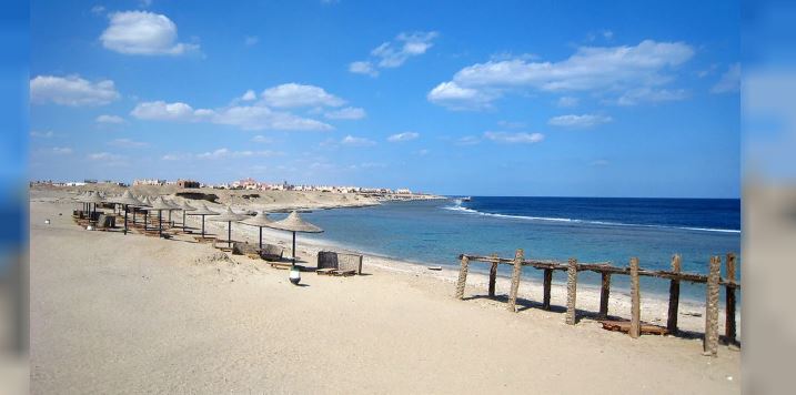 De vacaciones en Egipto: lo atacó un tiburón y murió
