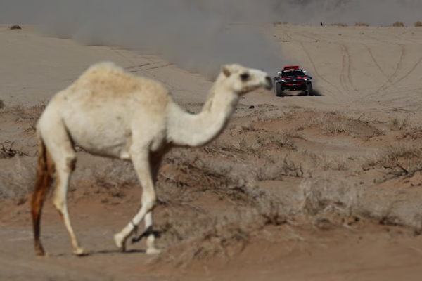 Todo lo que hay que saber del Rally Dakar 2025