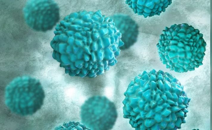 Unos 121 estudiantes afectados por norovirus en la provincia china de Yunnan