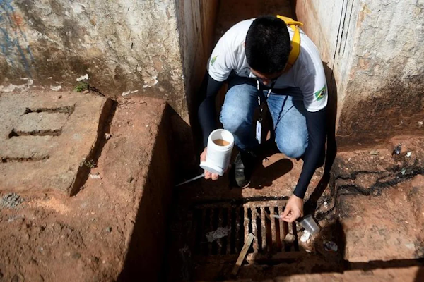 Brasil: casi 6,5 millones de casos de dengue en 2024
