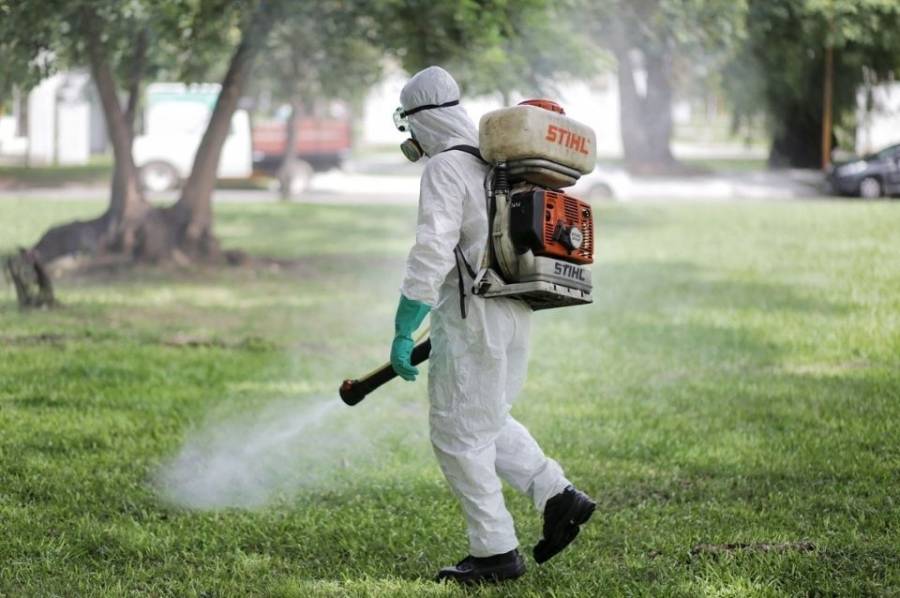 Los barrios que serán fumigados en esta jornada