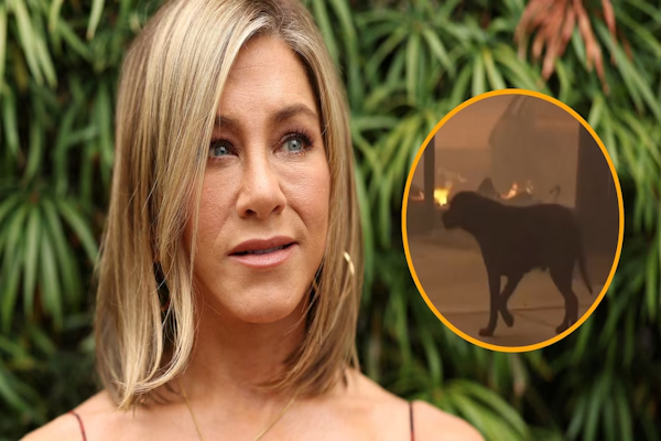 Incendios: Jennifer Aniston pidió compasión por los animales que huyen