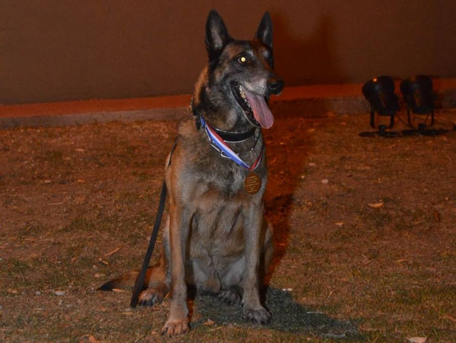 Luego de prestar servicios en la Sección Perros de Rosario, falleció el viernes pasado