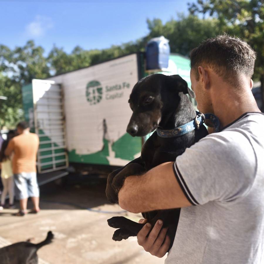 El IMUSA realizará castraciones gratuitas en barrio Acería