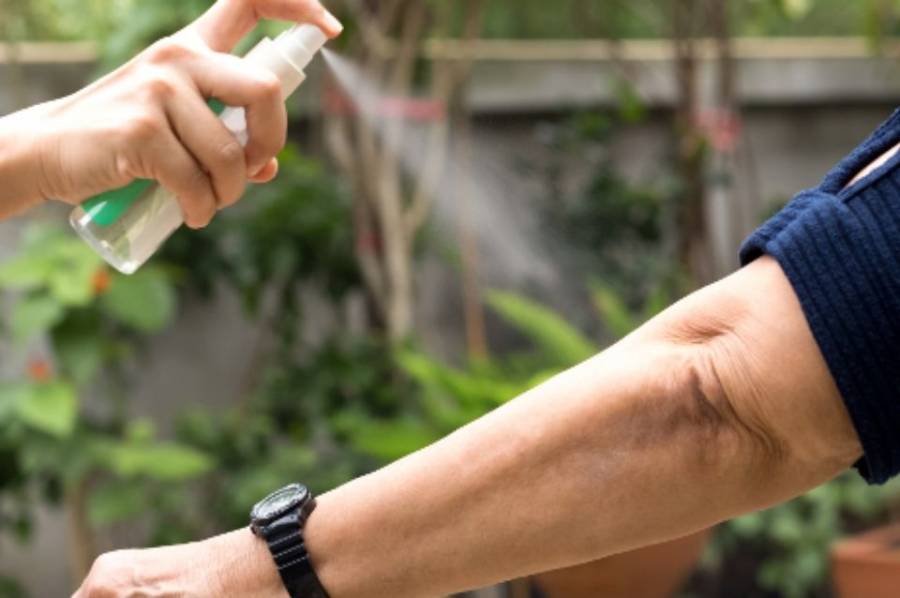 Hasta el momento no hay casos positivos de dengue 