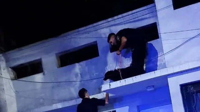 Rescataron a un perro que pasó cinco días en un techo sin agua ni comida