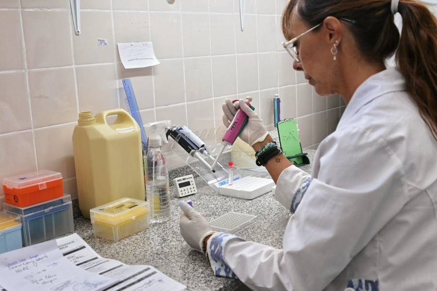 Destacan trabajo de laboratorios de la provincia en la detección del dengue