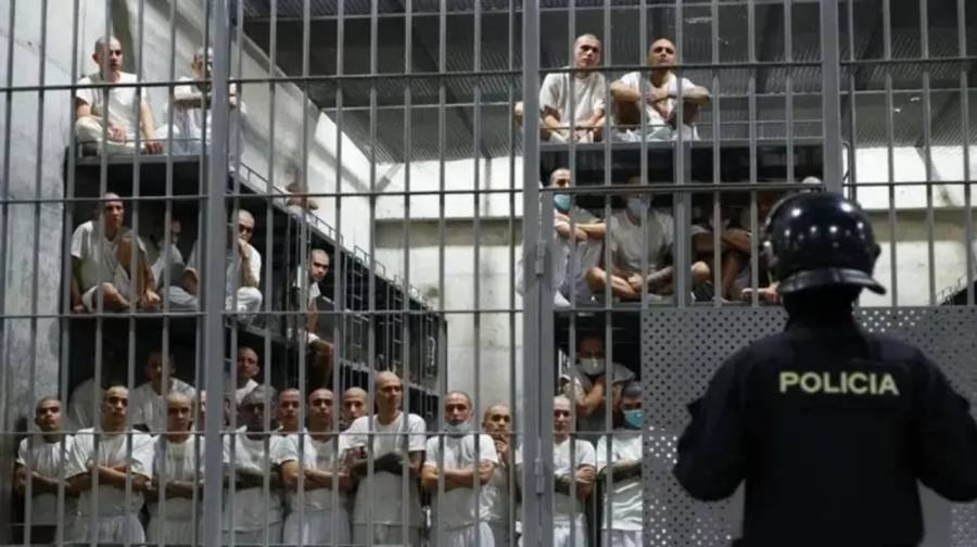 Bukele ofreció sus cárceles para extranjeros ilegales en Estados Unidos que sean criminales