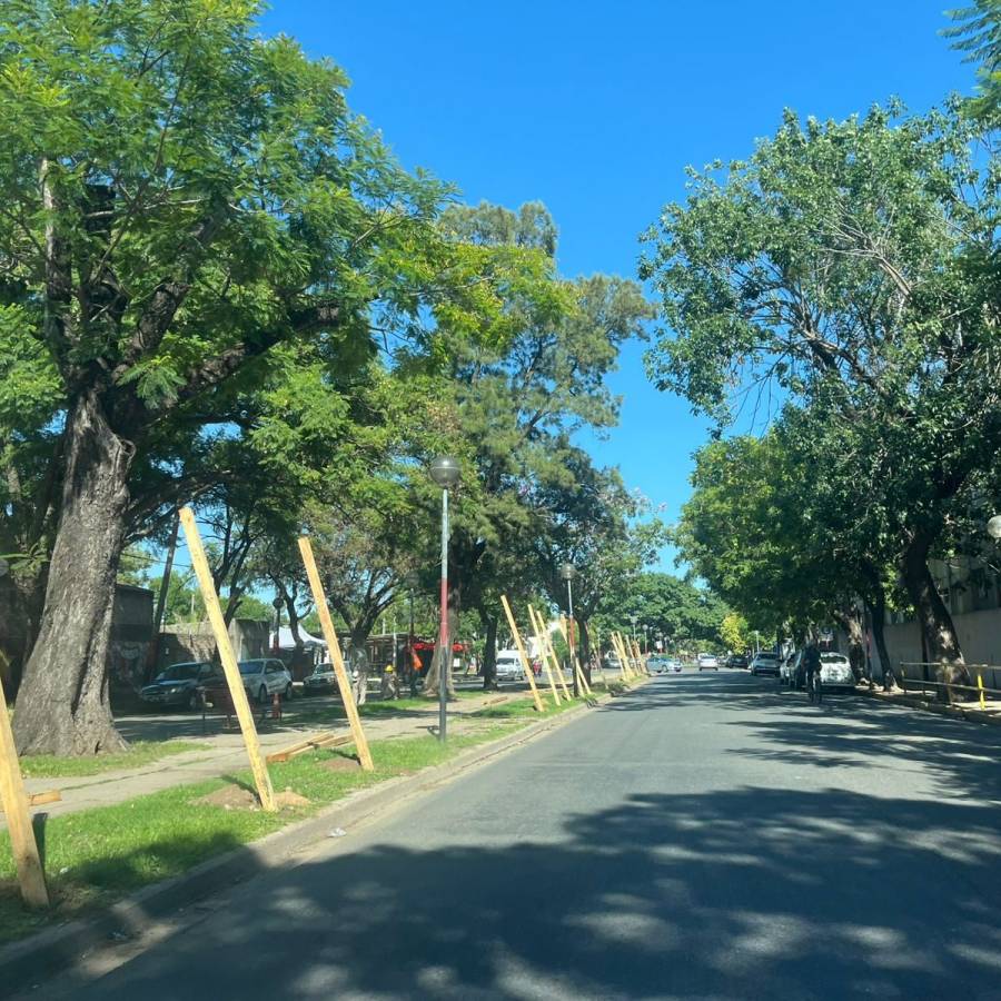 Así serán los servicios municipales durante la obra en la Avenida J. J. Paso