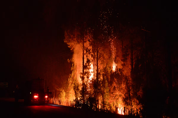 Incendio en El Bolsón: se descontroló, hay 700 casas en peligro