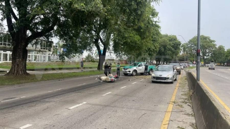 Se desprendió la rama de un árbol y cayó sobre una motociclista 
