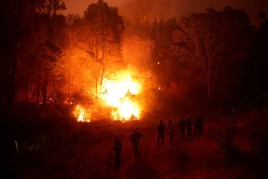 Chile enfrenta 22 incendios forestales en plena temporada de verano