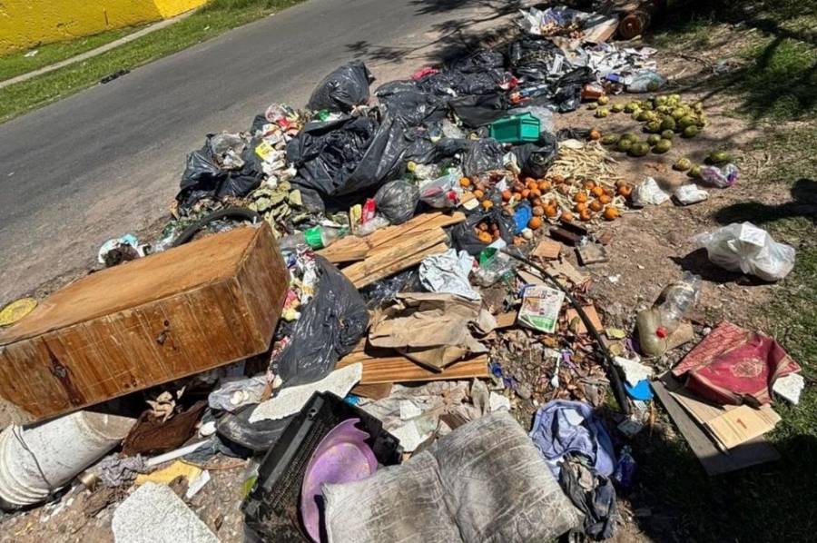En bº Fomento 9 de Julio controlaron casi el 80% de microbasurales