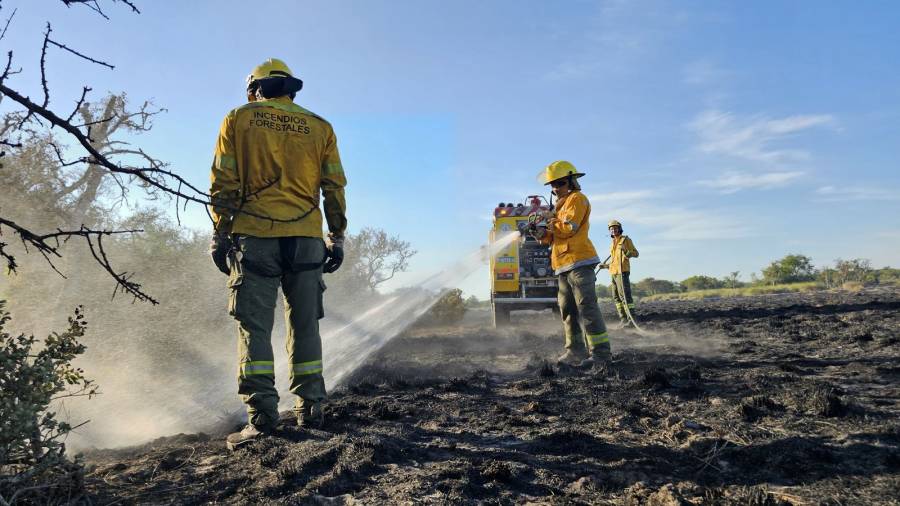 Brigadistas trabajan para controlar incendio en Cacique Ariacaiquín