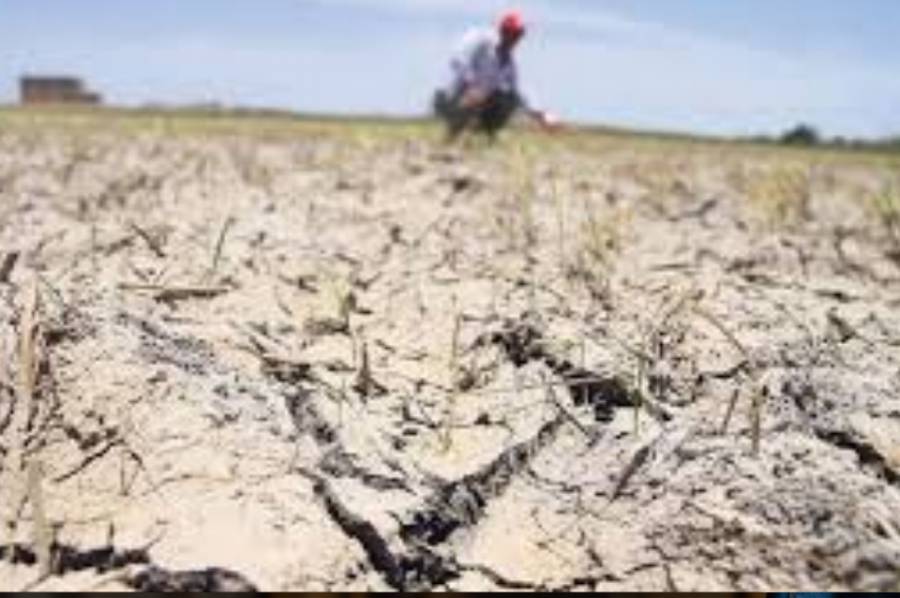 El gobierno analiza ampliar la declaración de emergencia agropecuario