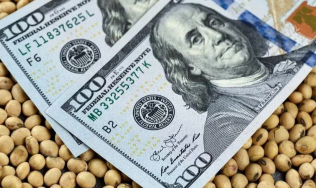 Agroexportadores liquidaron 15% menos en marzo con relación a febrero