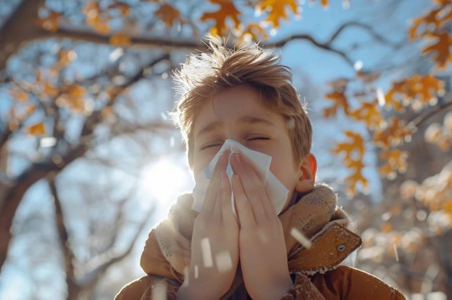 Alergias en otoño: ¿cuáles son las más comunes y cómo aliviarlas?