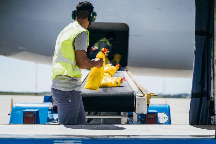 Exportaciones desde el Aeropuerto de Rosario sin pasar por Ezeiza