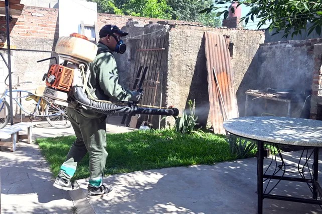 Dengue: los casos confirmados descendieron un 99% en la actual temporada 