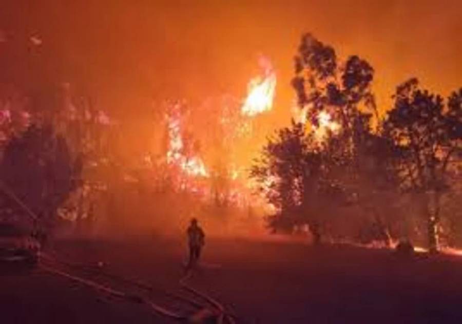 Incendio forestal arrasó más de 16.000 hectáreas en el sur de Francia