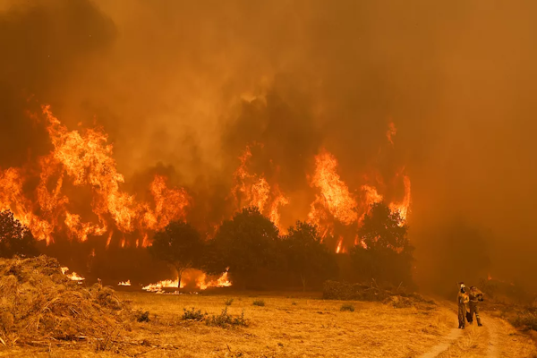 Crisis de incendios forestales en España