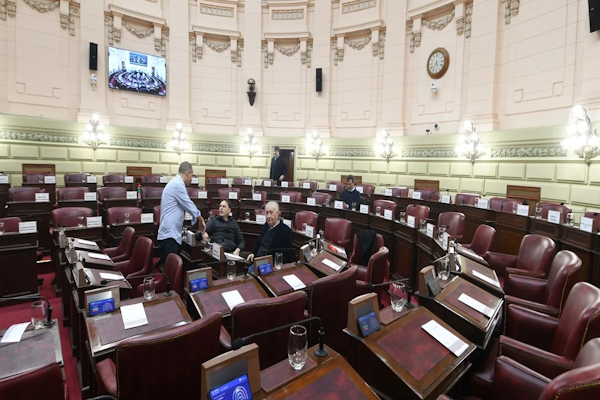 Nueva Constitución: la Redactora tiene 106 dictámenes de las cinco comisiones temáticas