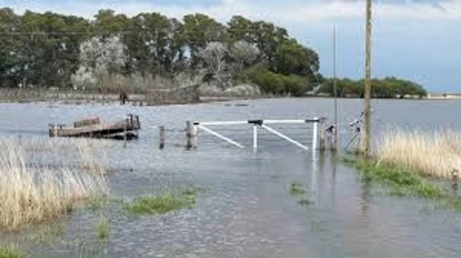 Estiman que las inundaciones en Buenos Aires provocarían una pérdida de US$ 2.400 millones