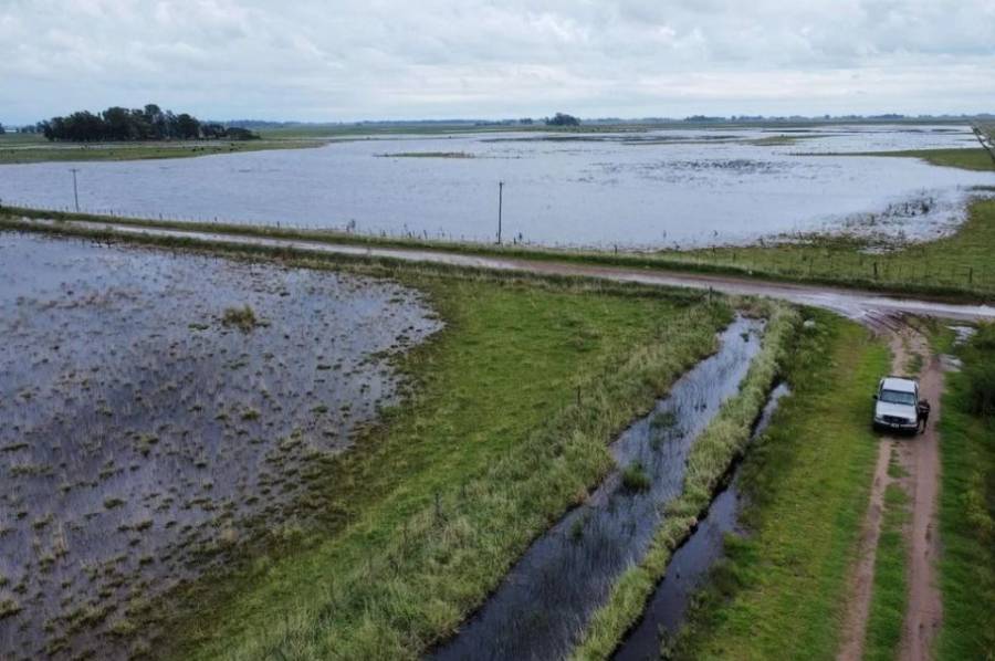 Emergencia agropecuaria en zonas de Entre Ríos, Buenos Aires y Río Negro