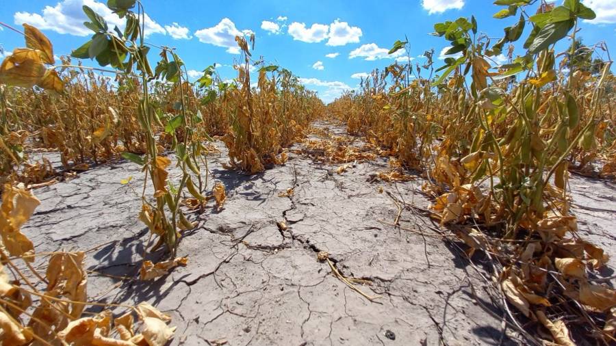 “El costo de no actuar frente al cambio climático puede ser muy alto”