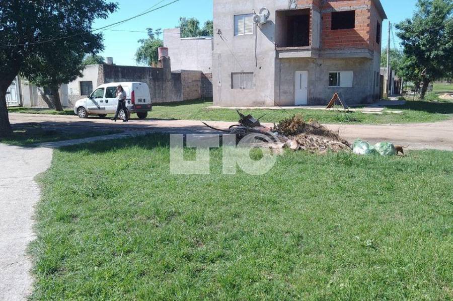 Cabaña Leiva: reclaman por falta de poda y árboles caídos
