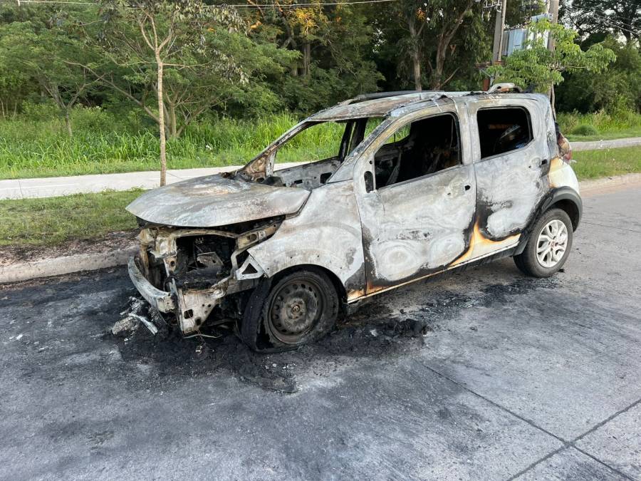 Voraz incendio de un auto en la Ruta Provincial 1