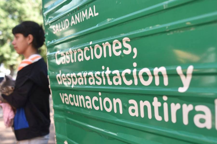 Campaña masiva de castración y vacunación antirrábica en la vecinal Centenario