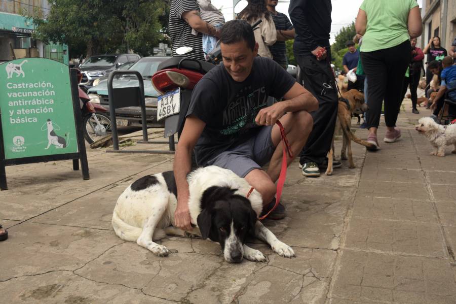 El Imusa castró y vacunó a más de 120 animales de compañía en barrio Centenario