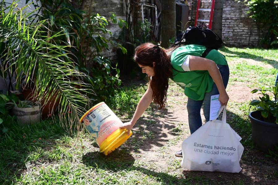 En 37 barrios de la ciudad está presente el vector del Dengue