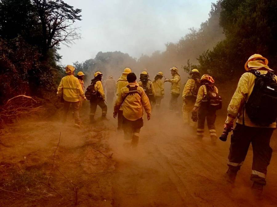 Regresaron los brigadistas que fueron a colaborar en el control de incendios forestales