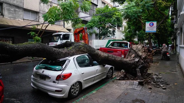 Autos dañados y una ráfaga de 102 kmh: una tormenta severa dejó su huella en Rosario