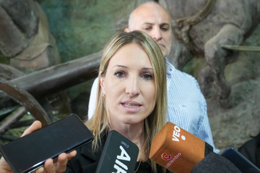 El 46 % de las aprehensiones e identificaciones se originan en llamados al 911