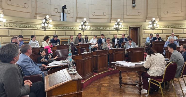 El Senado dio media sanción a la prohibición de cuidacoches: las claves de la ley que ahora deberá ser ratificada en Diputados