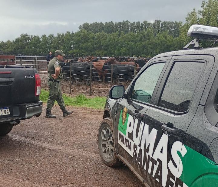 La Policía Rural recuperó 161 animales tras una denuncia de un reconocido influencer 