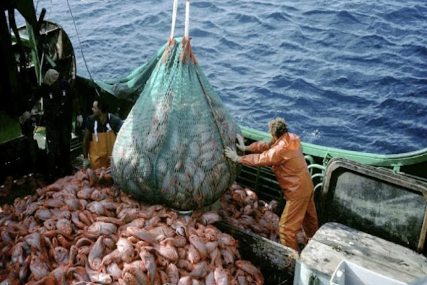 Argentina incluida en acuerdo que limita subsidios a la pesca