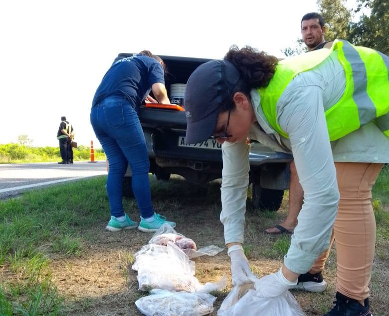 Ambiente reforzó controles para Semana Santa y sancionó a dos frigoríficos pesqueros
