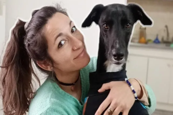 Feroz ataque de un perro potencialmente peligroso a otro 