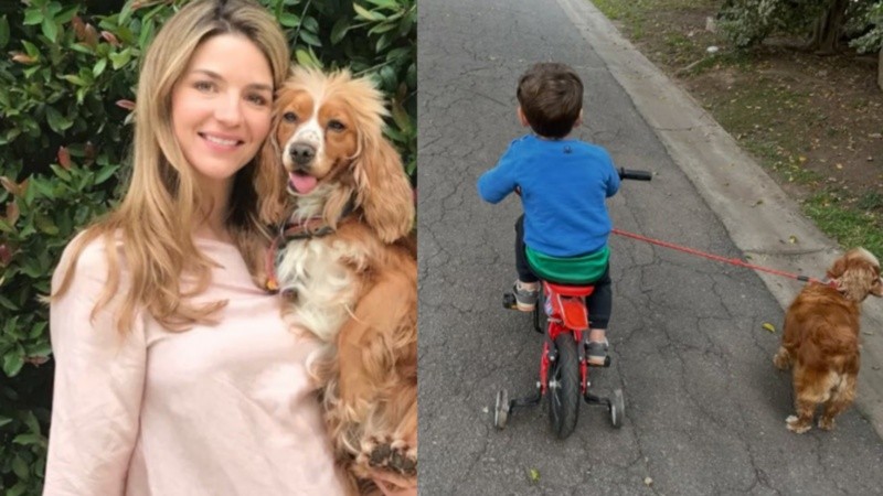 La tristeza de Marcela Kloosterboer por la muerte de su perro: 
