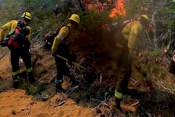 Incendio forestal en Cafayate consumió cerca de 200 hectáreas